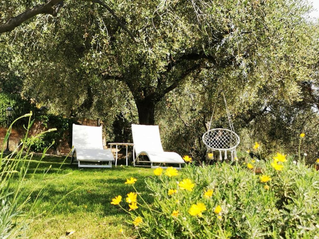 Agriturismo C'Era Una Volta Camporosso  Exterior photo